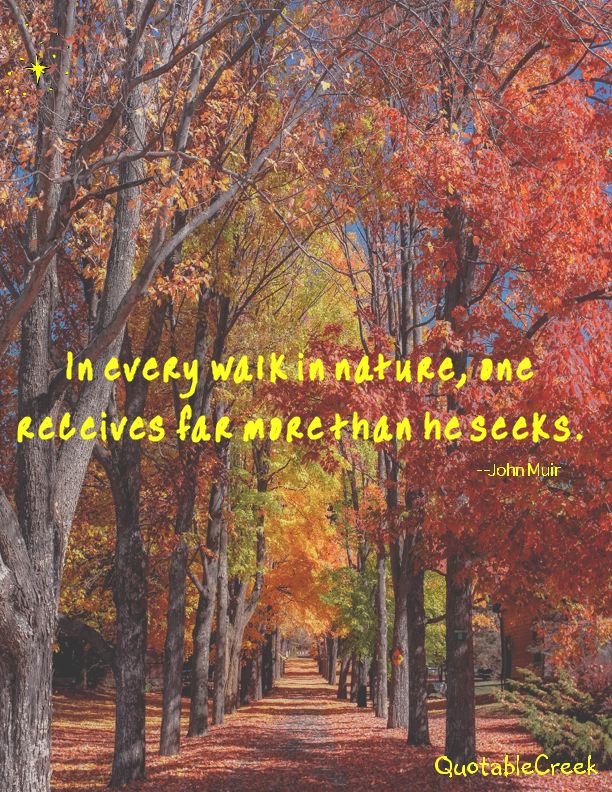 naturewalk