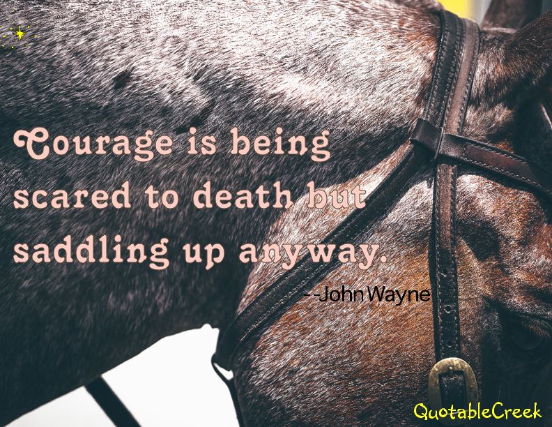 couragesaddle